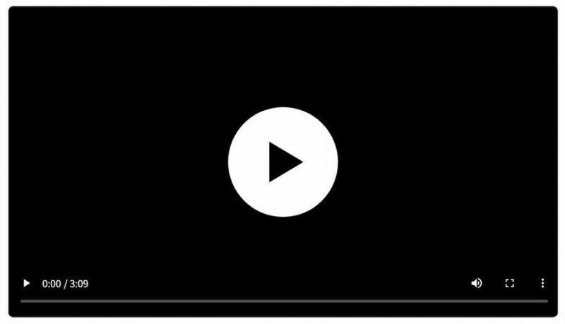 Video Link